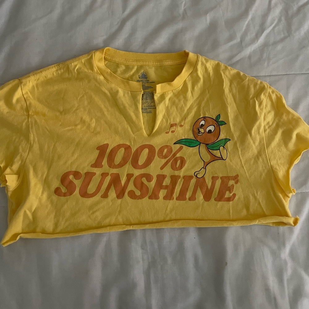 Disney custom made cropped shirt